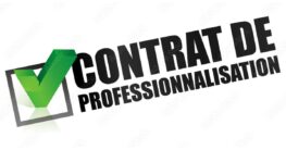 Le formulaire CERFA du contrat de professionnalisation a été actualisé