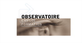 Le questionnaire annuel de l’Observatoire&nbsp;est disponible